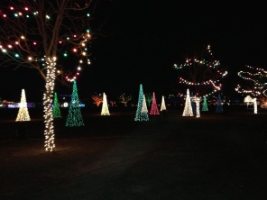 2012-12-21 13 Trail of Lights.jpg